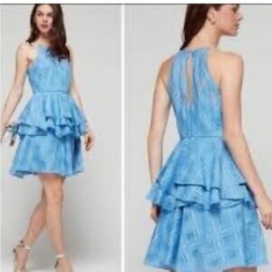 Belle Badgley Mischka Bianca Dress Size  6 Ruffle Coquette Cruise Party Wedding